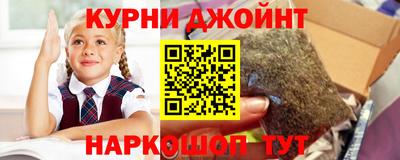 мяу мяу мука Донецк