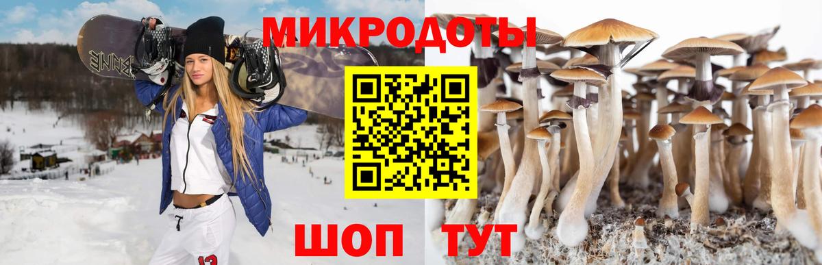 Псилоцибиновые грибы Cubensis  Галлюциногенные грибы прущие грибы  Лыткарино  Вход с VPN 